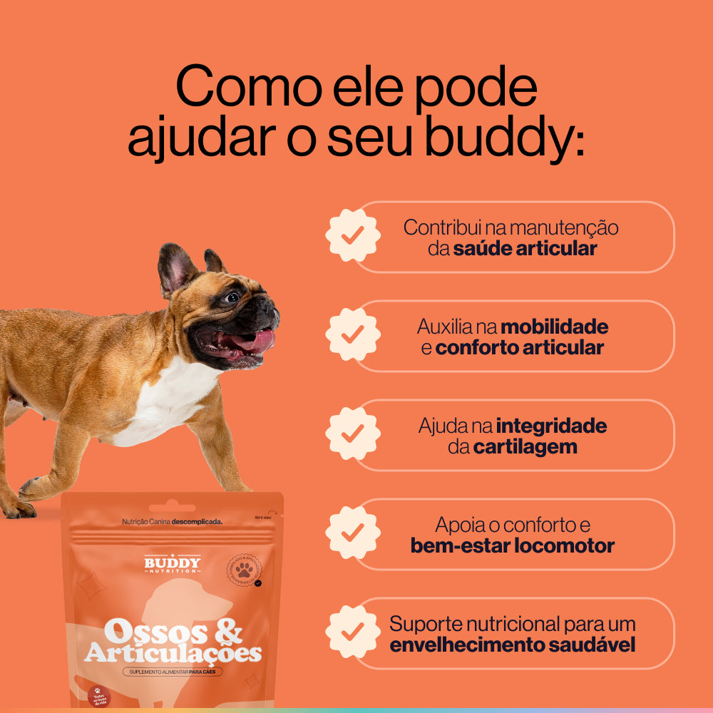 Kit Black Friday - Esconde Comprimidos – Buddy Nutrition